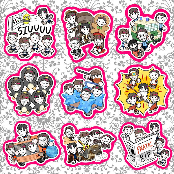 Team BDS Entrance Stickers 2024